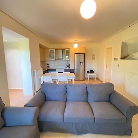Cozy 2 Room Apartment With Garden Near Athens Air-Port 아르테미다 외부 사진