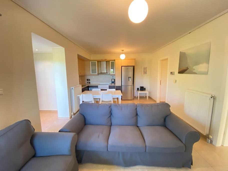 Cozy 2 Room Apartment With Garden Near Athens Air-Port 아르테미다 외부 사진
